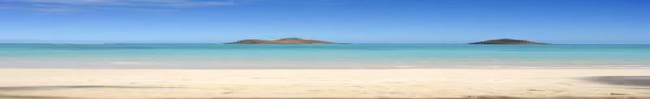 andre_fleury_hawaii_123118002001.jpg