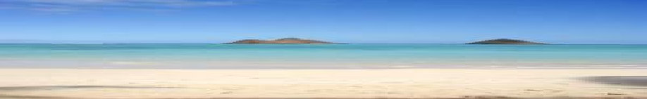 andre_fleury_hawaii_123118003001.jpg